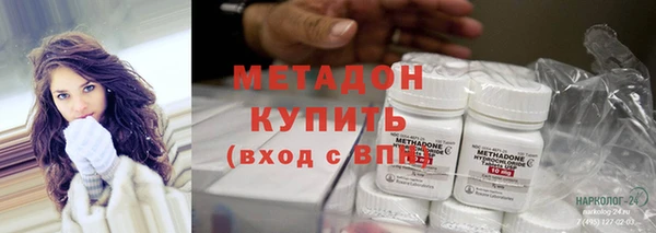 сатива Бородино