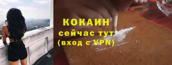 сатива Бородино