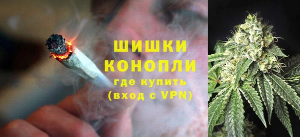сатива Бородино