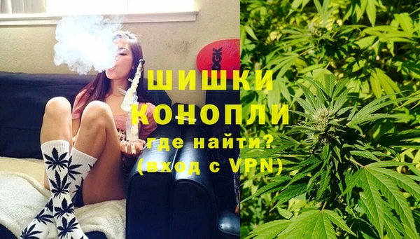 сатива Бородино