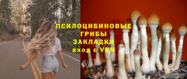 прущий лед Бронницы