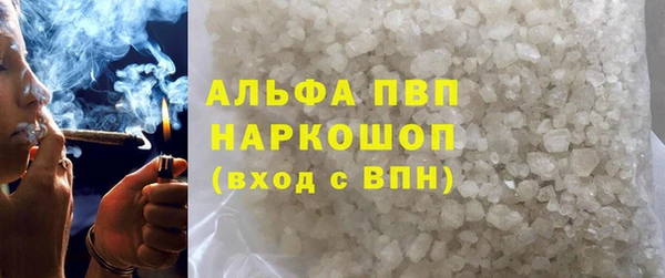 сатива Бородино