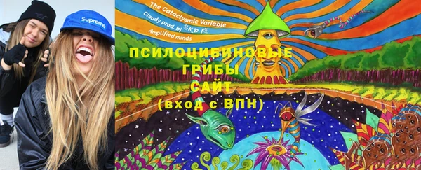 сатива Бородино