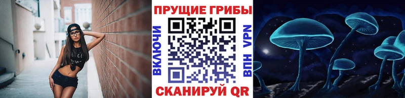 Купить  Лагань  Галлюциногенные грибы мицелий 